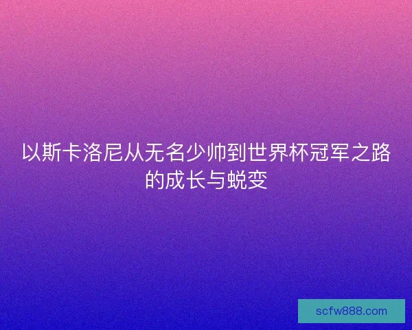 以斯卡洛尼从无名少帅到世界杯冠军之路的成长与蜕变